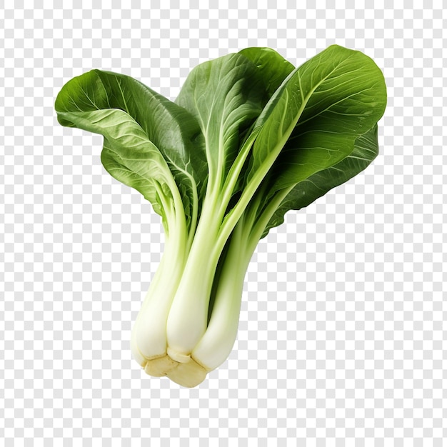 PSD grátis bok choy fresco isolado em fundo transparente