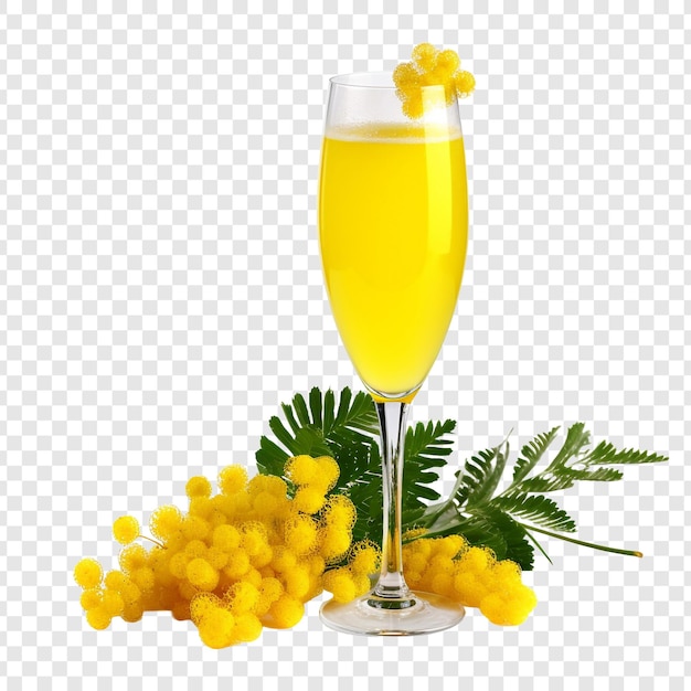 PSD grátis flor de mimosa png isolada em fundo transparente