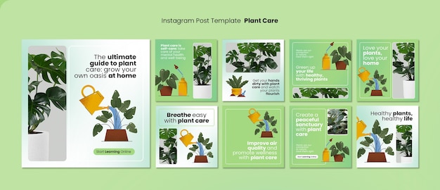 PSD grátis modelo de postagens do instagram para cuidados com plantas