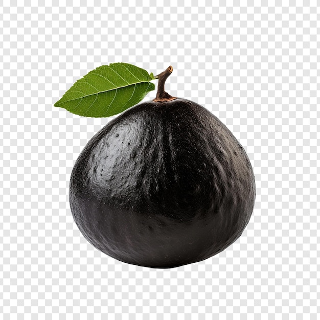 PSD grátis sapote preto isolado em fundo transparente