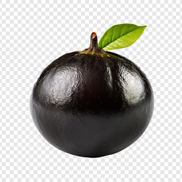 PSD grátis sapote preto isolado em fundo transparente