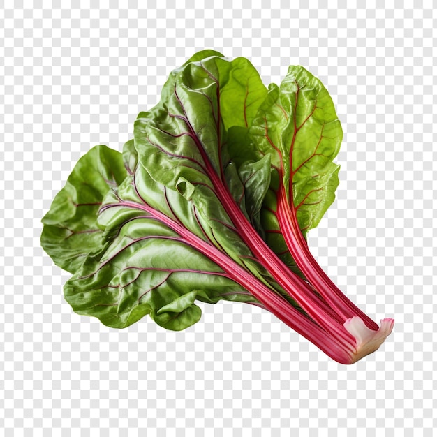 PSD grátis vegetal de acelga fresca png isolado em fundo transparente