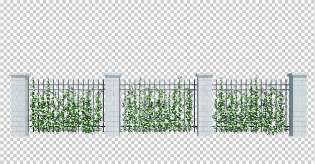 PSD 3d render ivy pflanzen isoliert