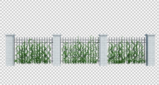 PSD 3d render ivy plants isoliert auf weißem hintergrund