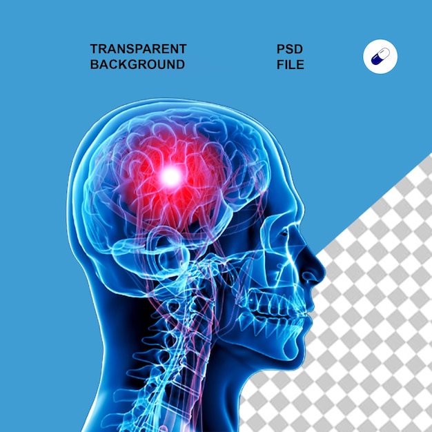 PSD anatomia do corpo e raios-x em fundo isolado transparente