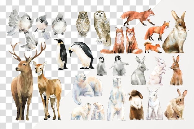 PSD aquarelle d'animaux autocollant png illustration de la faune hivernale sur fond transparent