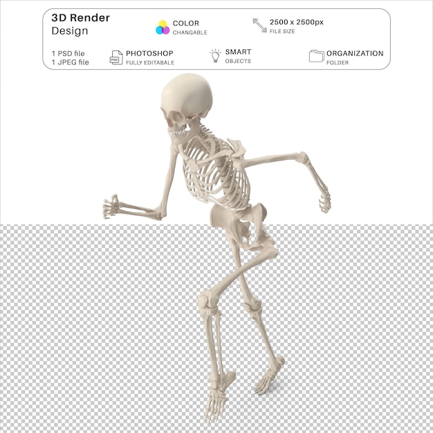 PSD arquivo psd de modelagem 3d de esqueleto