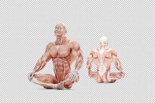 PSD atleta in meditazione posa illustrazione anatomica