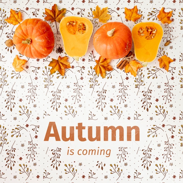 L'automne arrive concept avec des moitiés de citrouille