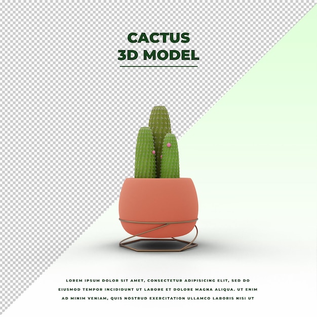 Cactus