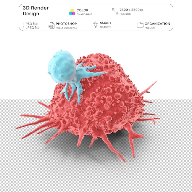 PSD cancer with t cell 3d modeling arquivo psd