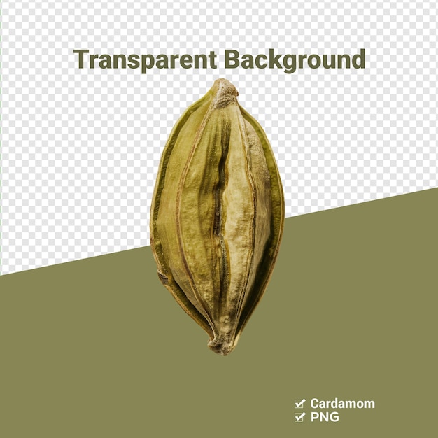 Capas e sementes de cardamomo de fundo transparente PNG