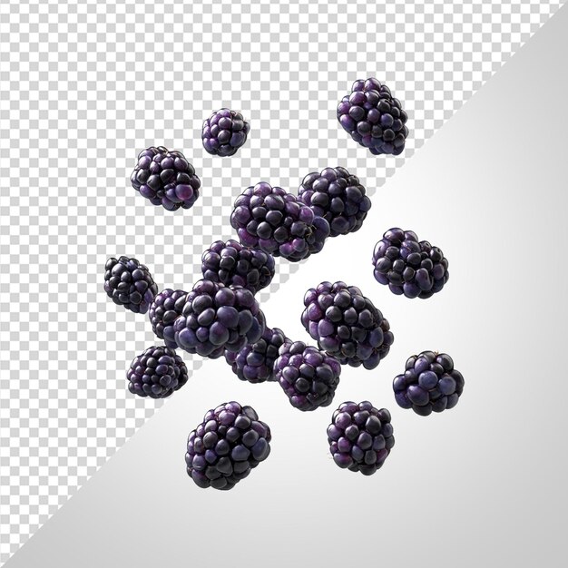 PSD la chute du blackberry png