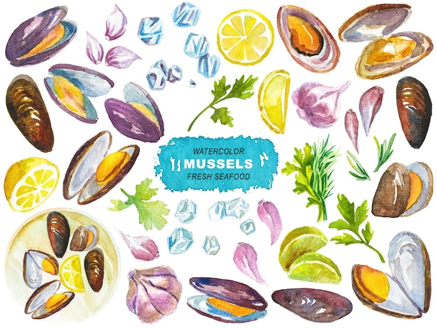 PSD clipart de moules peints à l'aquarelle, éléments dessinés à la main isolés sur un fond transparent