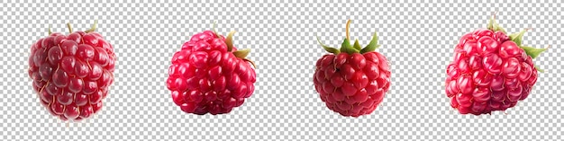 PSD une collection de framboises mûres isolées sur un fond transparent