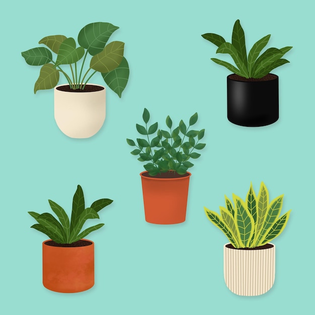 PSD une collection de plantes en pot avec une qui dit en pot