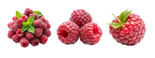 PSD collections de framboises sur un fond transparent fruits juteux biologiques pour les desserts