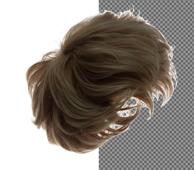 PSD coupe droite perruque style de cheveux volée explosion de chute homme brun foncé femme perruque cheveux flotter dans l'air droit brun blond perruque cheveu vent souffler nuage jeter fond blanc isolé