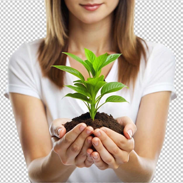 PSD de perto de mãos de uma mulher tocando uma planta com