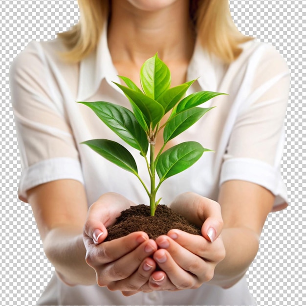 PSD de perto de mãos de uma mulher tocando uma planta com