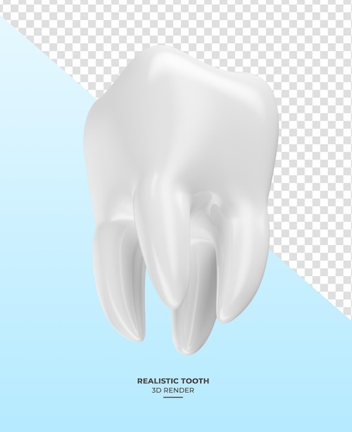 PSD une dent réaliste en 3d avec un fond transparent