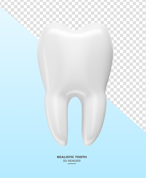 PSD une dent réaliste en 3d avec un fond transparent