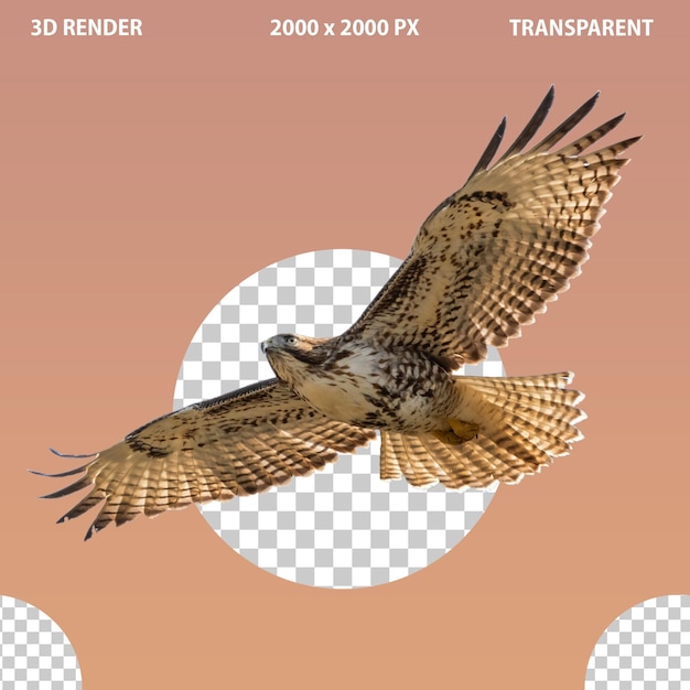 PSD eagle-png-bild mit durchsichtigem isolierten hintergrund