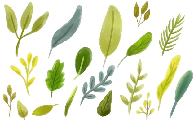 eine Sammlung verschiedener grüner Blätter Herbstblätter Illustration Clipart-Set mit Aquarell-Stil