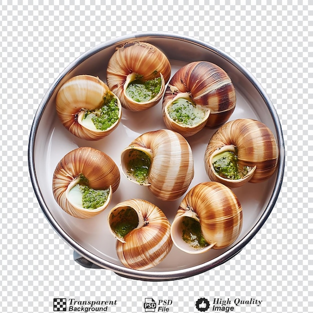 PSD escargot isolé sur fond transparent