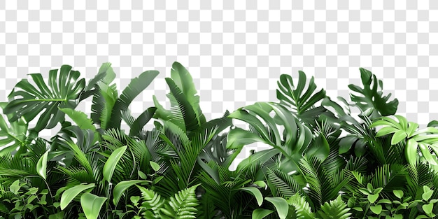 PSD des feuilles tropicales vertes luxuriantes sur fond blanc découpées