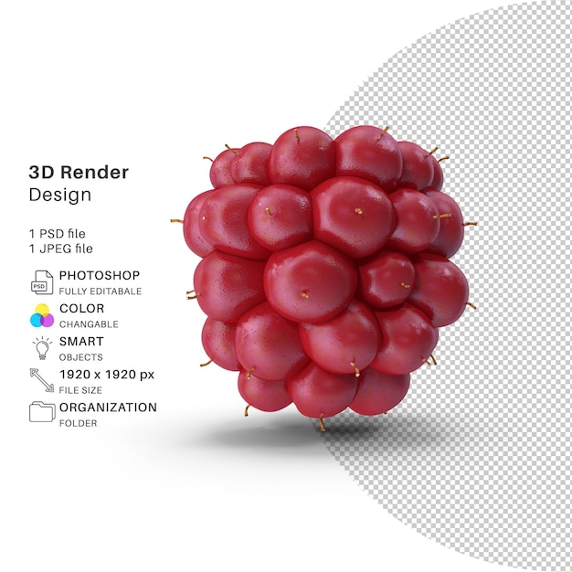 PSD fichier psd de modélisation 3d noir de fruits de mûres de baies non mûres réaliste