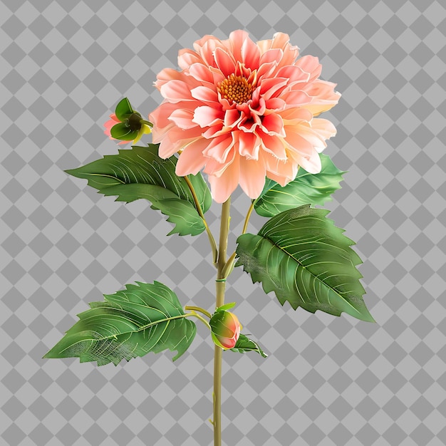 PSD une fleur avec une fleur rose dessus