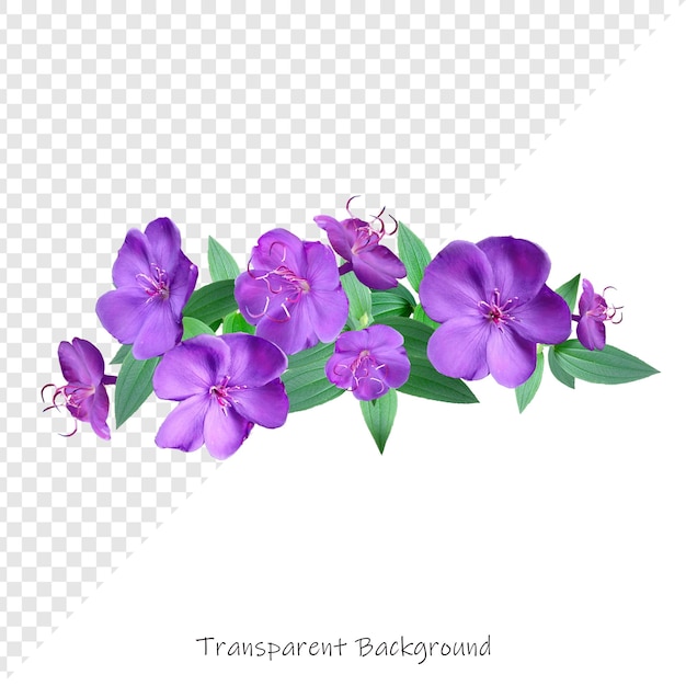 PSD flores com fundo transparente