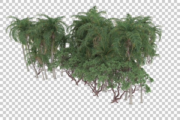 Floresta tropical em fundo transparente. renderização em 3D - ilustração