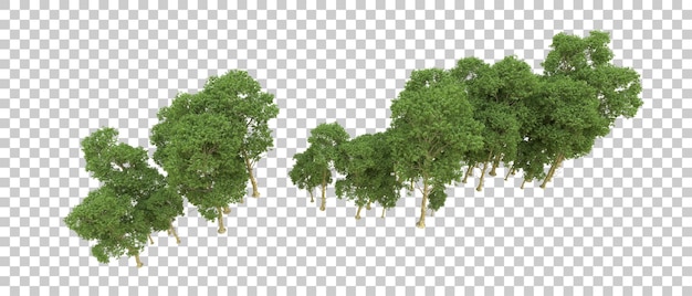 Forêt verte isolée sur fond illustration de rendu 3d