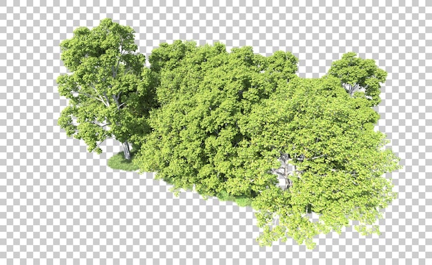 Forêt verte isolée sur le fond illustration de rendu 3D