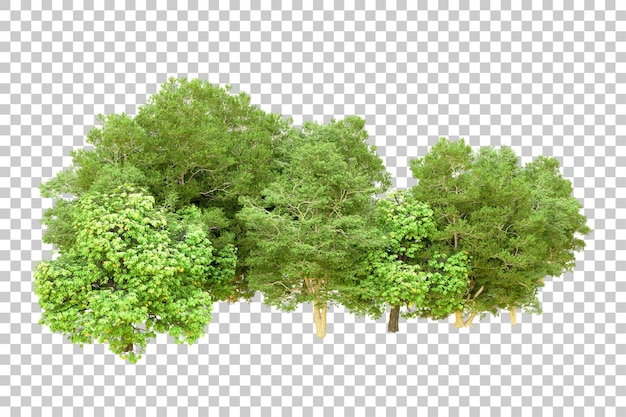 PSD forêt verte isolée sur un fond transparent illustration de rendu 3d