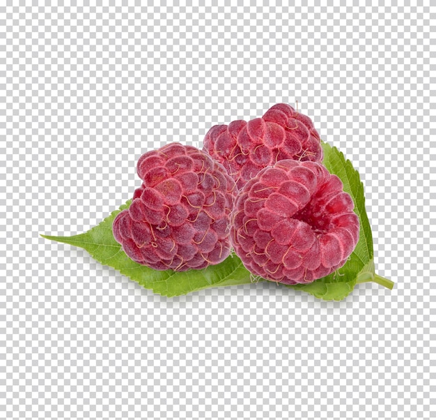 PSD framboise fraîche avec des feuilles isolées sur fond blanc