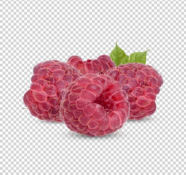 PSD framboise fraîche avec des feuilles isolées psd premium