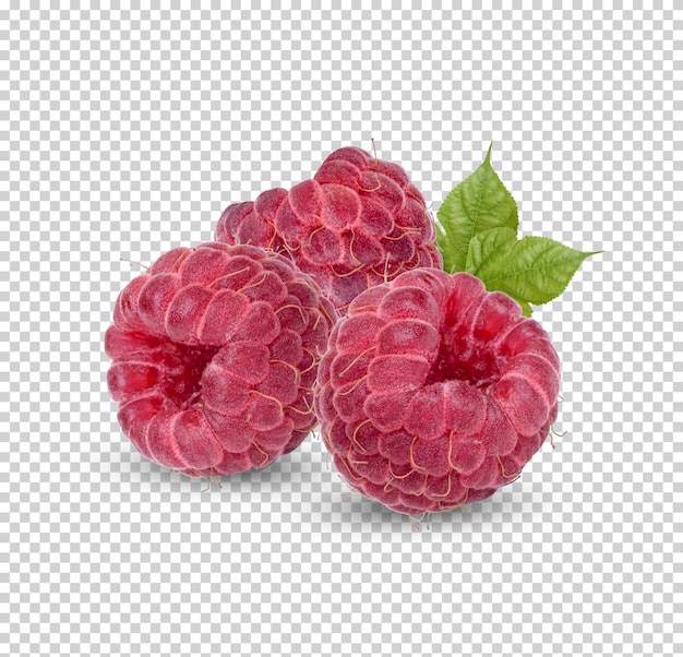 PSD framboise fraîche avec des feuilles isolées psd premium