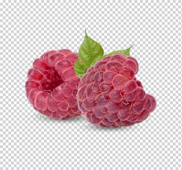 PSD framboise fraîche avec des feuilles isolées psd premium