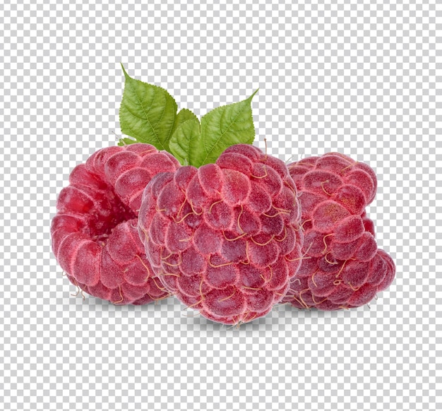 PSD framboise fraîche avec des feuilles isolées psd premium