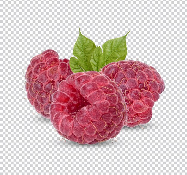 PSD framboise fraîche avec des feuilles isolées psd premium