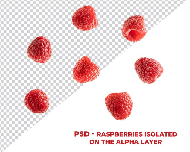 PSD framboise psd isolée sur la couche alpha