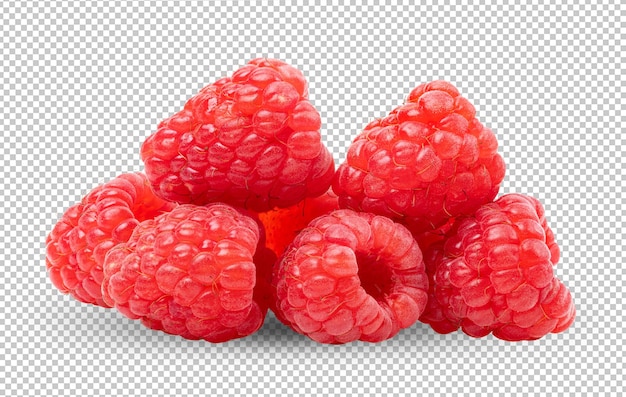 PSD framboises sur couche alpha