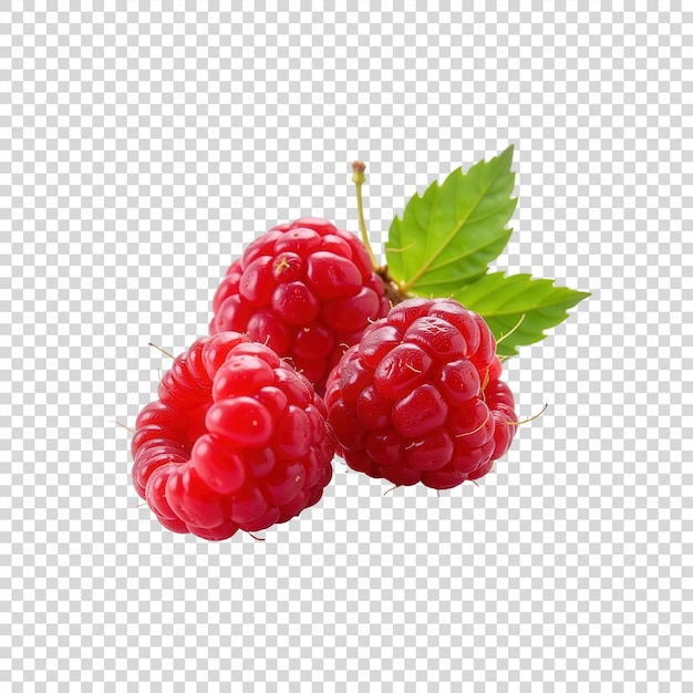 PSD des framboises sur fond transparent