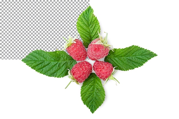 PSD framboises mûres avec des feuilles isolées sur fond transparent