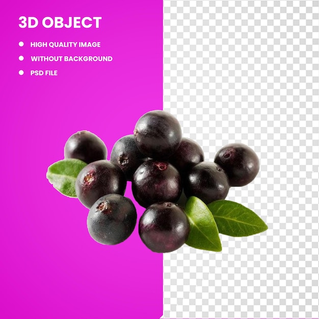 PSD fruit du palmier acai noir 3d