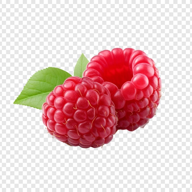 PSD fruit de framboise isolé sur fond transparent