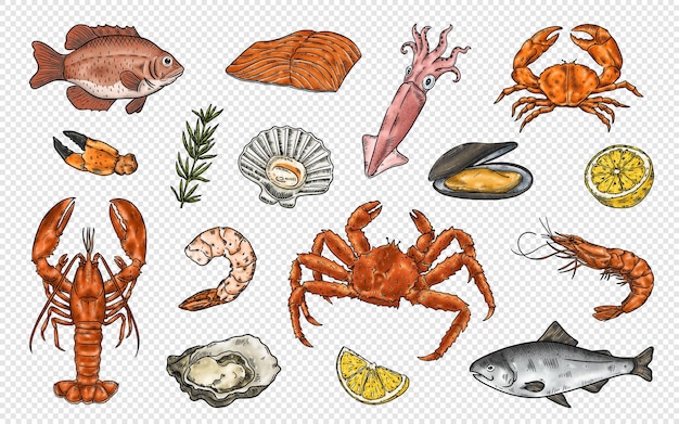 PSD frutti di mare immagini clipart